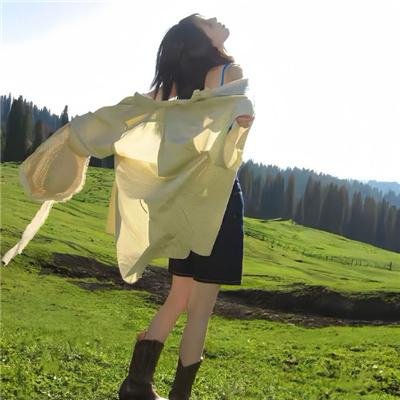孤鸟罗宾